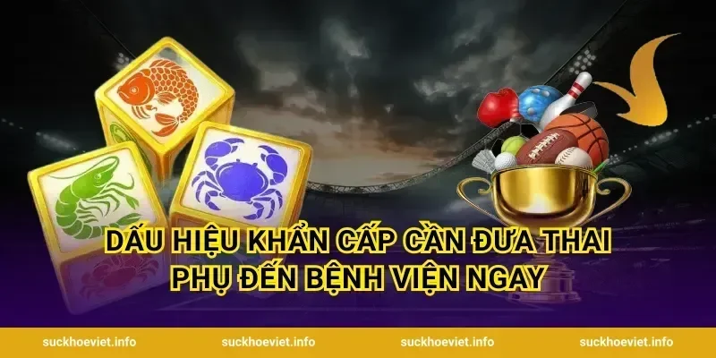 Dấu hiệu khẩn cấp cần đưa thai phụ đến bệnh viện ngay