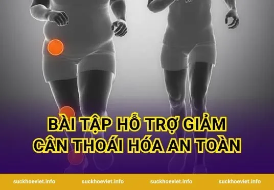 Bài Tập Hỗ Trợ Giảm Cân Thoái Hóa An Toàn
