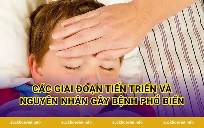 Các giai đoạn tiến triển và nguyên nhân gây bệnh phổ biến
