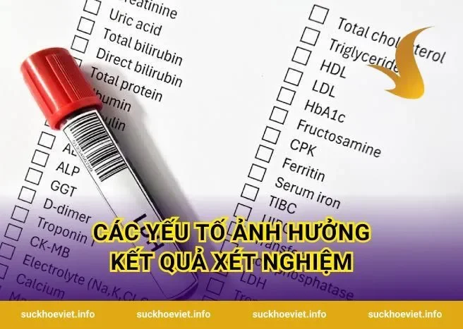 Các Yếu Tố Ảnh Hưởng Kết Quả Xét Nghiệm