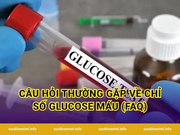 Câu hỏi thường gặp về chỉ số glucose máu (FAQ)