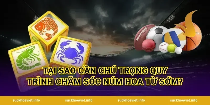 Tại sao cần chú trọng quy trình chăm sóc núm hoa từ sớm?