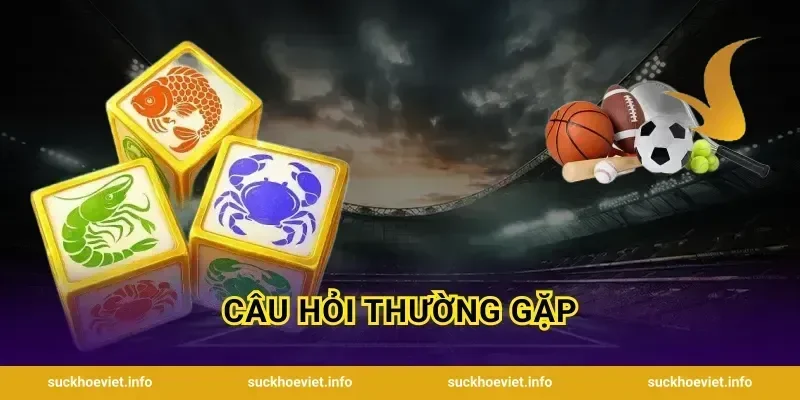 Câu hỏi thường gặp