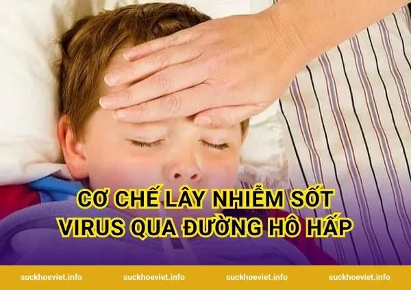 Cơ Chế Lây Nhiễm Sốt Virus Qua Đường Hô Hấp