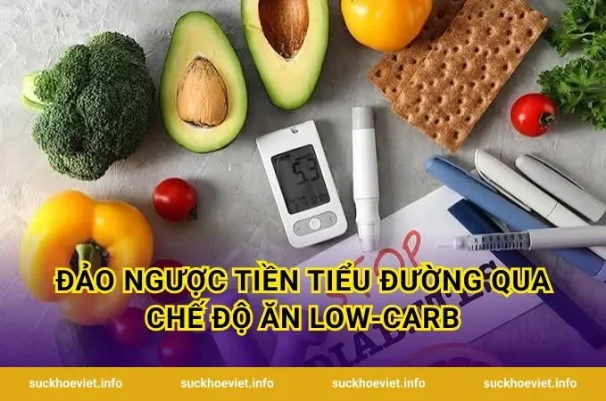 Đảo Ngược Tiền Tiểu Đường Qua Chế Độ Ăn Low-Carb