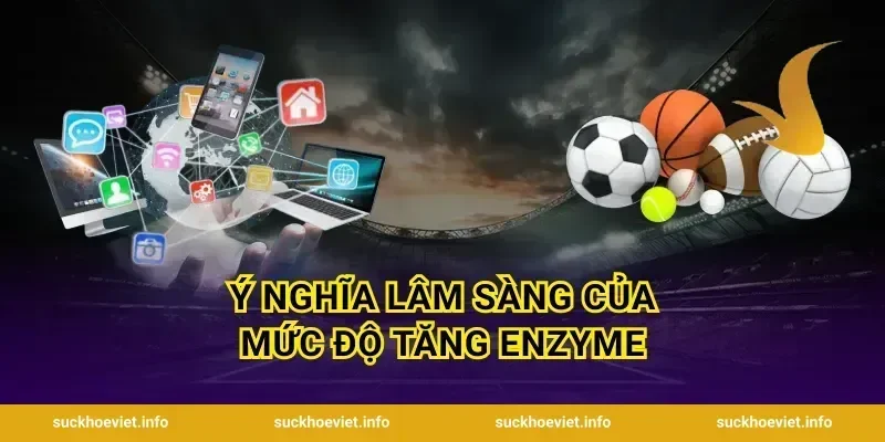 Ý Nghĩa Lâm Sàng Của Mức Độ Tăng Enzyme