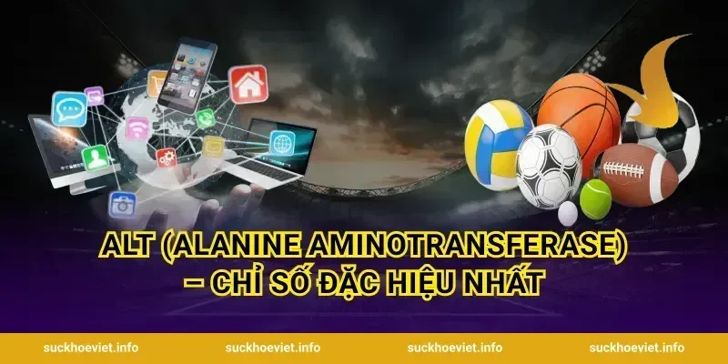 ALT (Alanine Aminotransferase) – Chỉ Số Đặc Hiệu Nhất