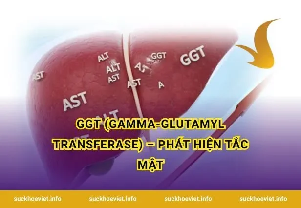 GGT (Gamma-Glutamyl Transferase) – Phát Hiện Tắc Mật