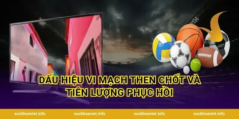 Dấu hiệu vi mạch then chốt và tiên lượng phục hồi