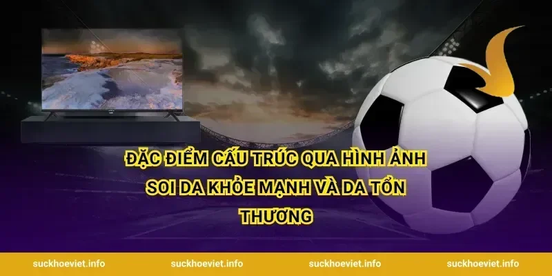 Đặc điểm cấu trúc qua hình ảnh soi da khỏe mạnh và da tổn thương