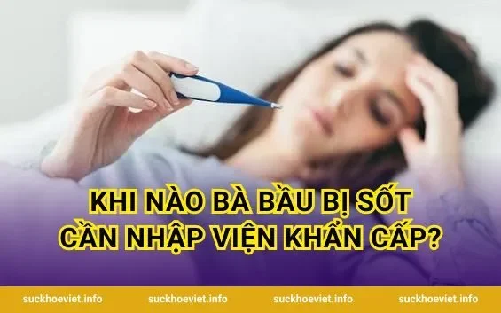 Khi nào bà bầu bị sốt cần nhập viện khẩn cấp?