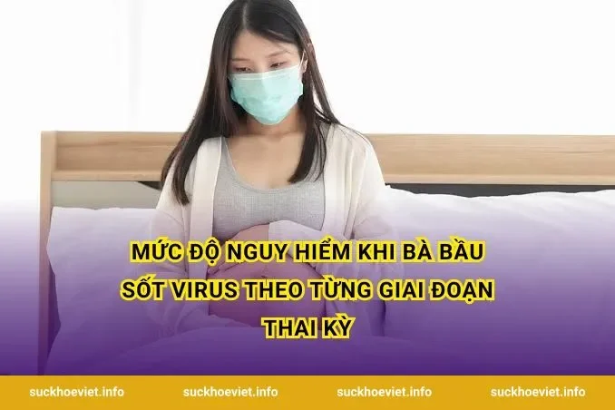Mức độ nguy hiểm khi bà bầu sốt virus theo từng giai đoạn thai kỳ