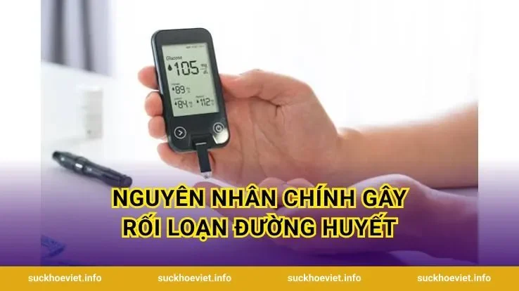 Nguyên Nhân Chính Gây Rối Loạn Đường Huyết