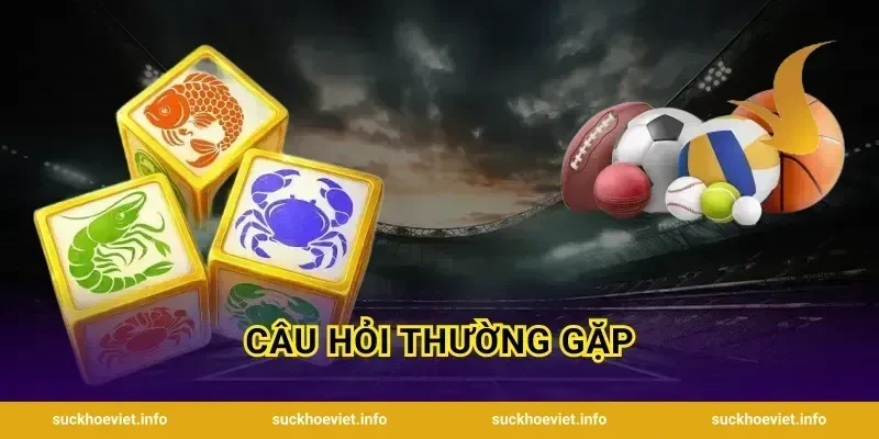 Câu hỏi thường gặp