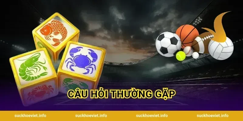 Câu Hỏi Thường Gặp