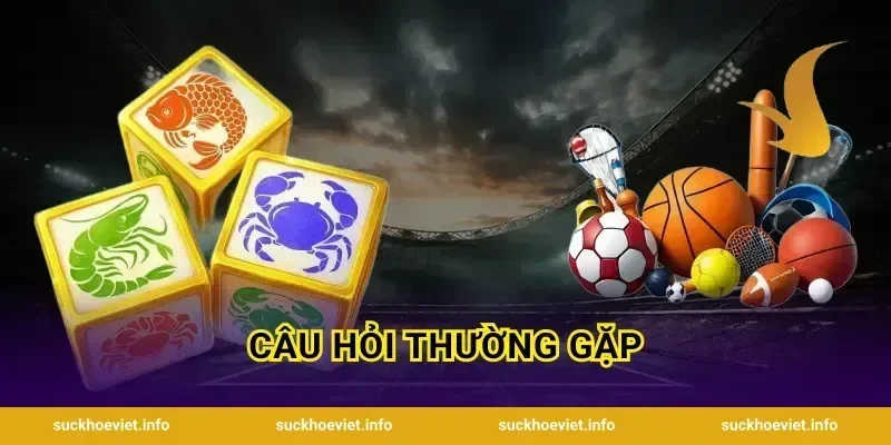 Câu hỏi thường gặp
