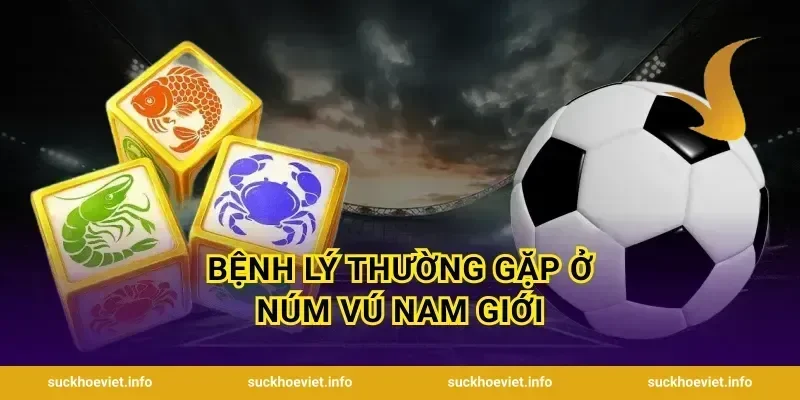 Bệnh Lý Thường Gặp Ở Núm Vú Nam Giới