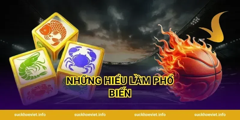 Những Hiểu Lầm Phổ Biến