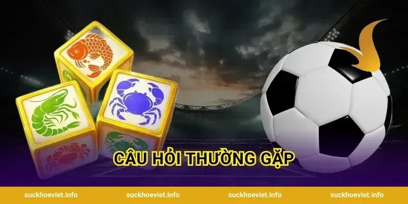 Câu Hỏi Thường Gặp