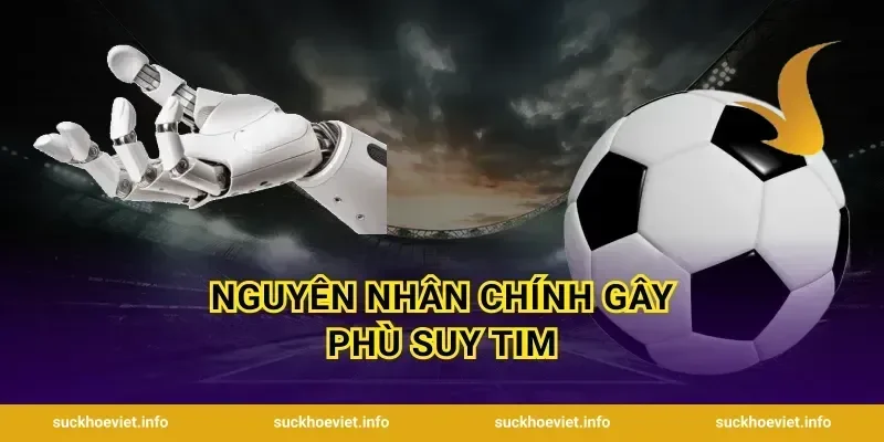 Nguyên Nhân Chính Gây Phù Suy Tim