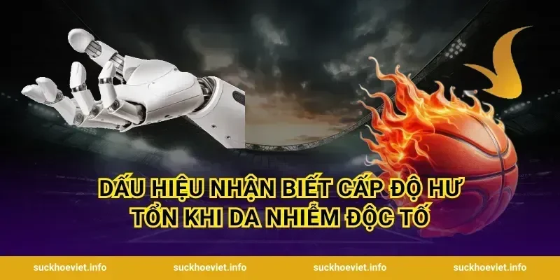 Dấu hiệu nhận biết cấp độ hư tổn khi da nhiễm độc tố