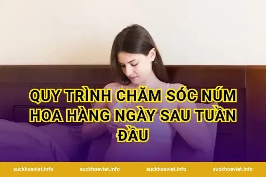Quy Trình Chăm Sóc Núm Hoa Hàng Ngày Sau Tuần Đầu