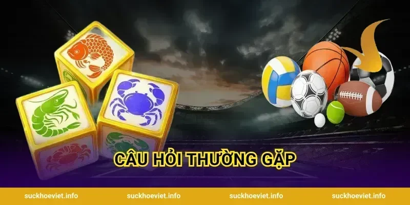 Câu hỏi thường gặp