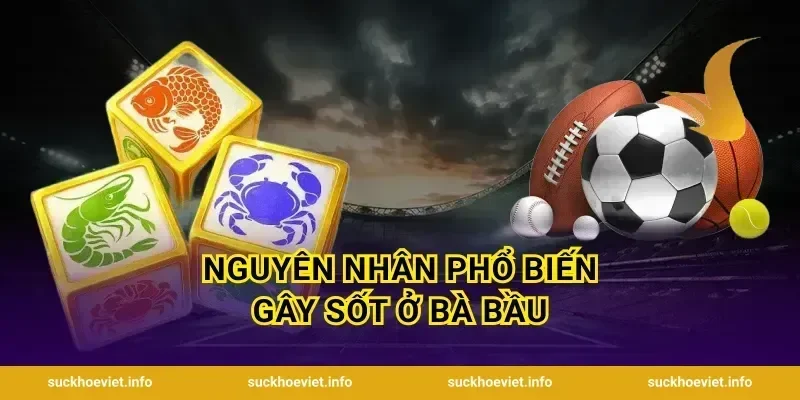 Nguyên nhân phổ biến gây sốt ở bà bầu