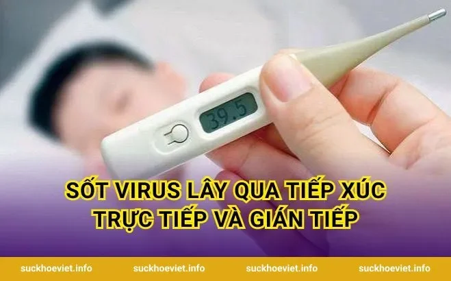 Sốt Virus Lây Qua Tiếp Xúc Trực Tiếp Và Gián Tiếp