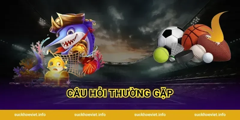 Câu hỏi thường gặp