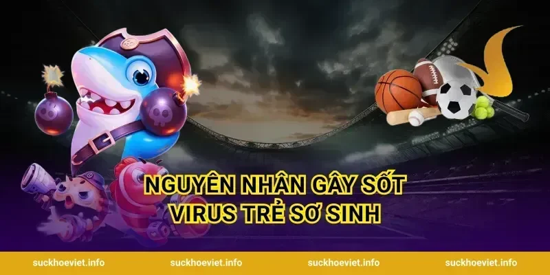 Nguyên nhân gây sốt virus trẻ sơ sinh