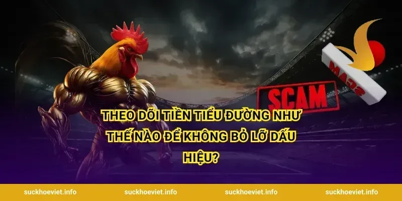 Theo Dõi Tiền Tiểu Đường Như Thế Nào Để Không Bỏ Lỡ Dấu Hiệu?