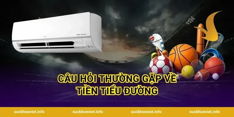 Câu Hỏi Thường Gặp Về Tiền Tiểu Đường