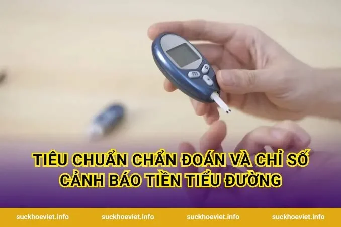 Tiêu chuẩn chẩn đoán và chỉ số cảnh báo tiền tiểu đường