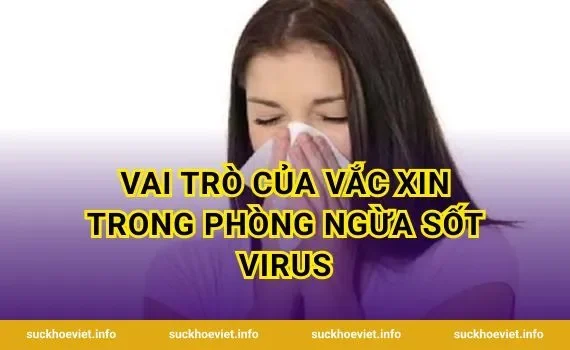 Vai Trò Của Vắc Xin Trong Phòng Ngừa Sốt Virus