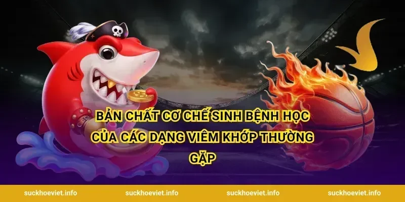 Bản chất cơ chế sinh bệnh học của các dạng viêm khớp thường gặp