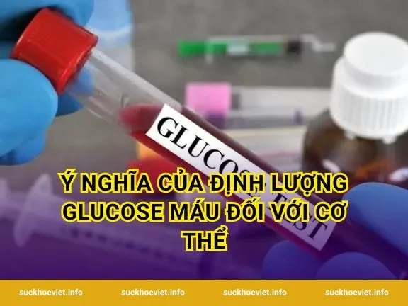 Ý nghĩa của định lượng glucose máu đối với cơ thể